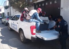 Acción coordinada permite rescate y atención médica de perrito abandonado en: Fiscal de Oaxaca