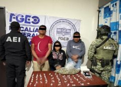 Fiscalía de Oaxaca ejecuta cateos en puntos de venta de drogas en Matatlán y Mitla; hay seis personas detenidas