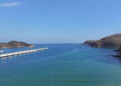 ALGO MÁS QUE PALABRAS