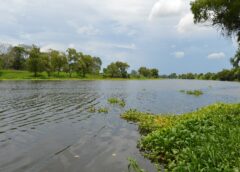 Descarta Pemex condiciones anómalas en el Río Cazones tras recorrido de verificación conjunto